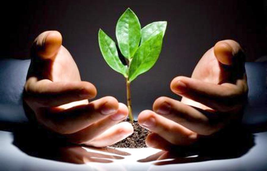 Ҳаёт бизга кафолат эмас, имконият беради