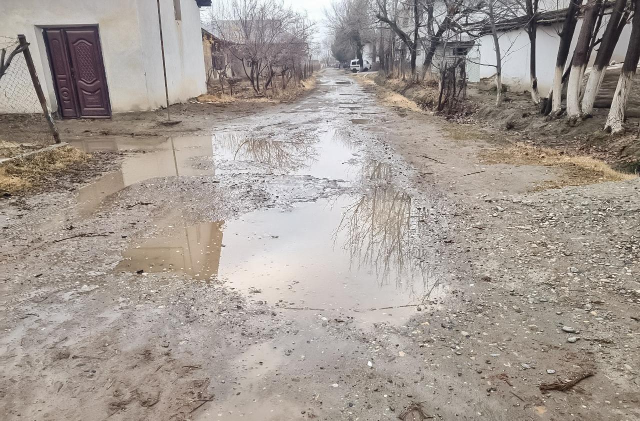 Deputat yo‘l ta’miri masalasida so‘rov yubordi