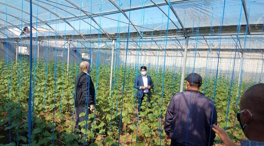 Томорқа қийин кунларни енгиб ўтишга ёрдам беради