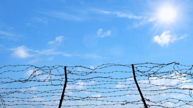 Афв, қувонч, кўз ёш, ҳаёт