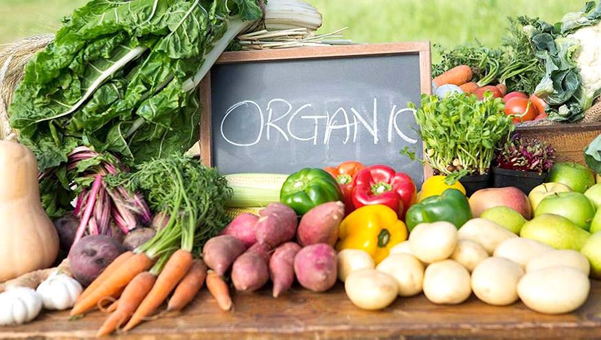 Қишлоқ ва ўрмон хўжалиги маҳсулотларининг сифат ва хавфсизлик кўрсаткичлари яхшиланади