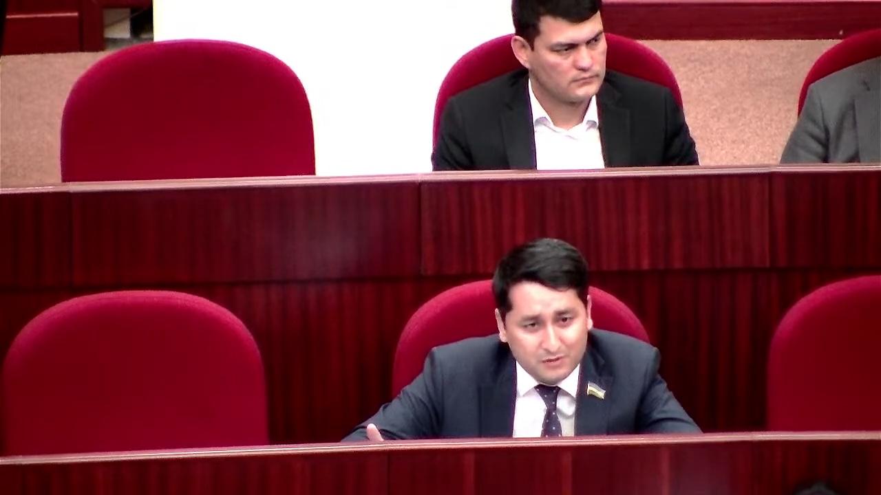Депутат “Обод қишлоқ” ва “Обод маҳалла” дастури доирасидаги ишларни бажариш учун 1.2 трлн.сўм маблағ қачон ажратилиши ҳақида сўради (видео)