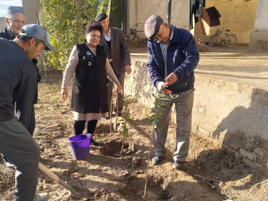 Ҳудудларда яшил майдонларга айлантирилмоқда