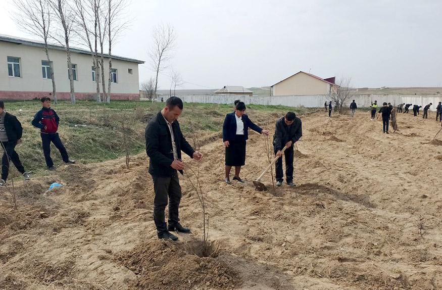 Diyorimizni yashil makonga aylantiraylik